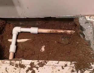 灵石测漏水哪家好