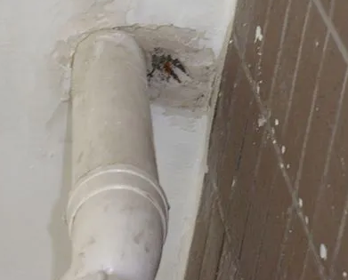 灵石漏水检测哪家好